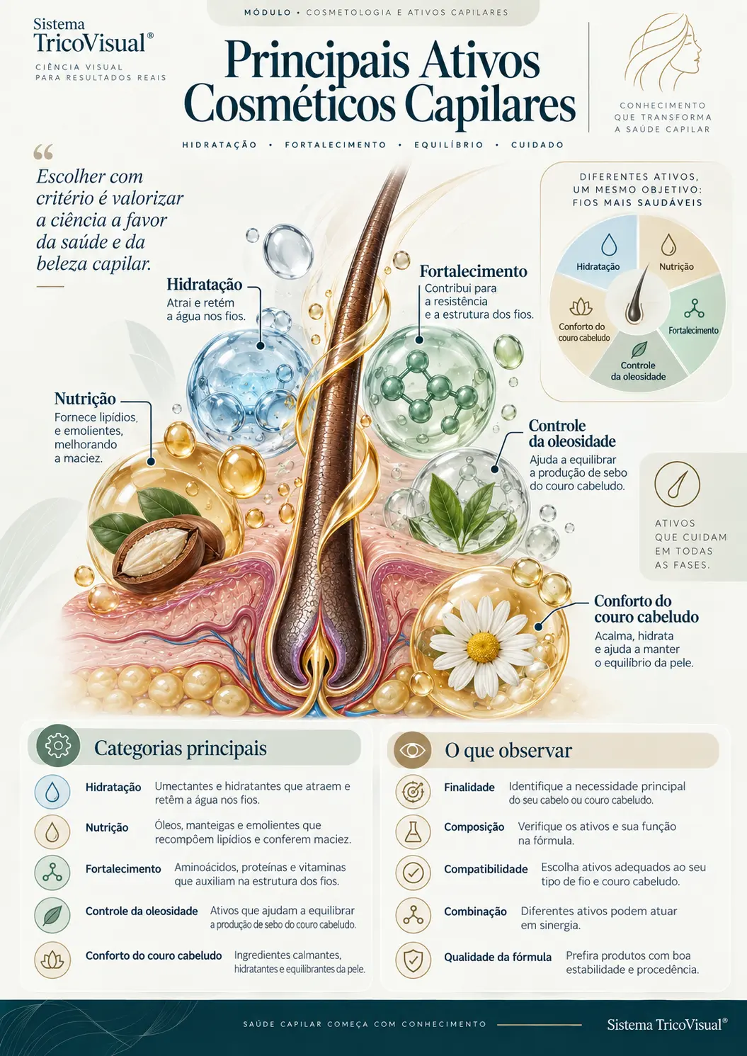 Ficha visual: Principais Ativos Cosméticos Capilares