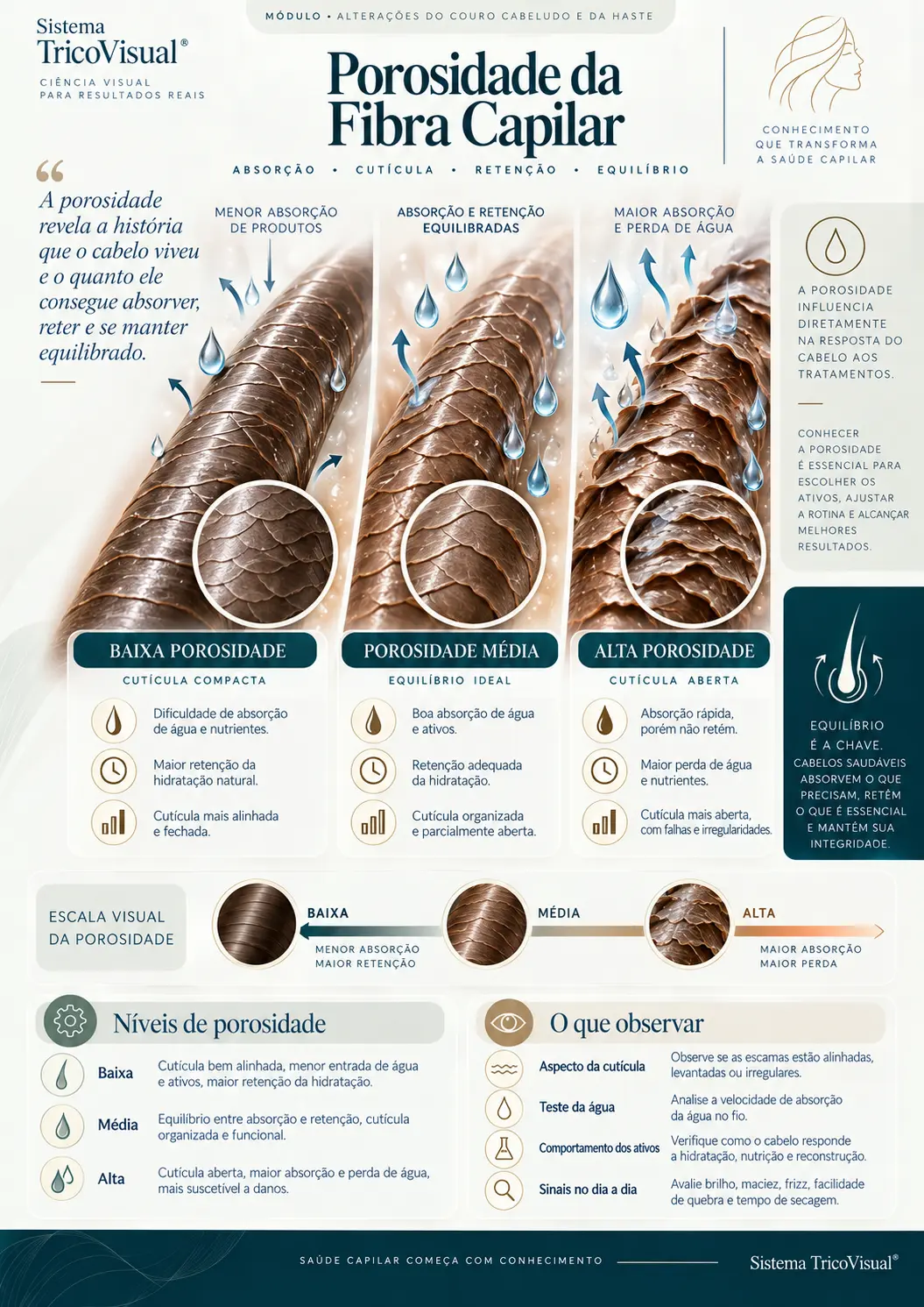 Ficha visual: Porosidade da Fibra Capilar